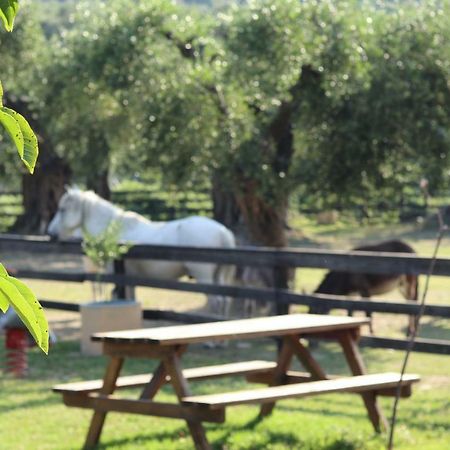 Honigtal Farmland Villa Agios Georgios Pagon Eksteriør bilde