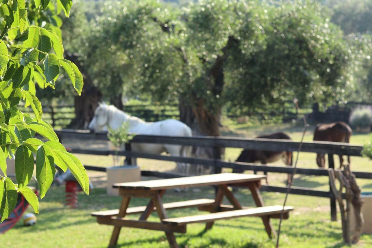 Honigtal Farmland Villa Agios Georgios Pagon Eksteriør bilde
