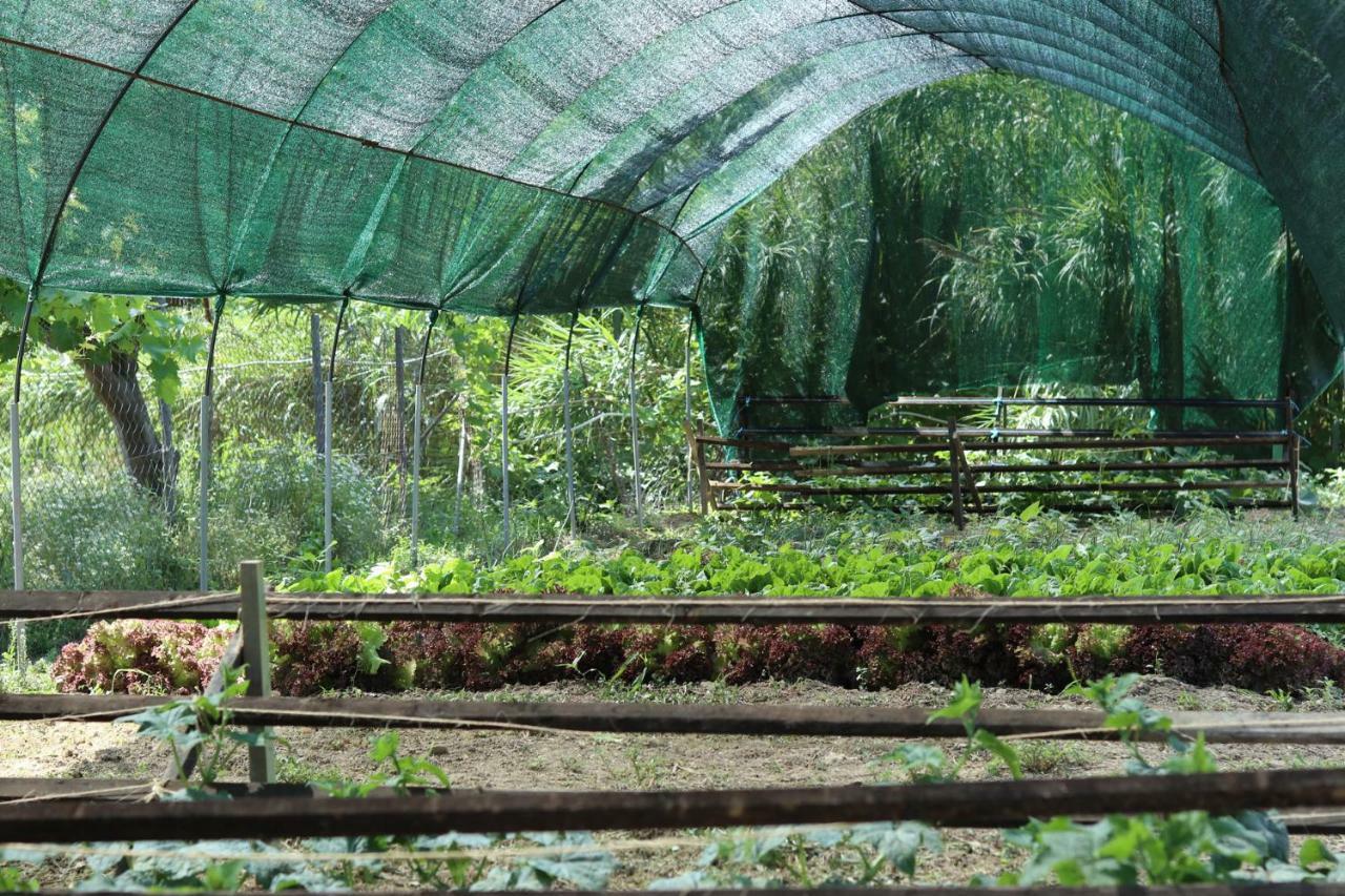 Honigtal Farmland Villa Agios Georgios Pagon Eksteriør bilde