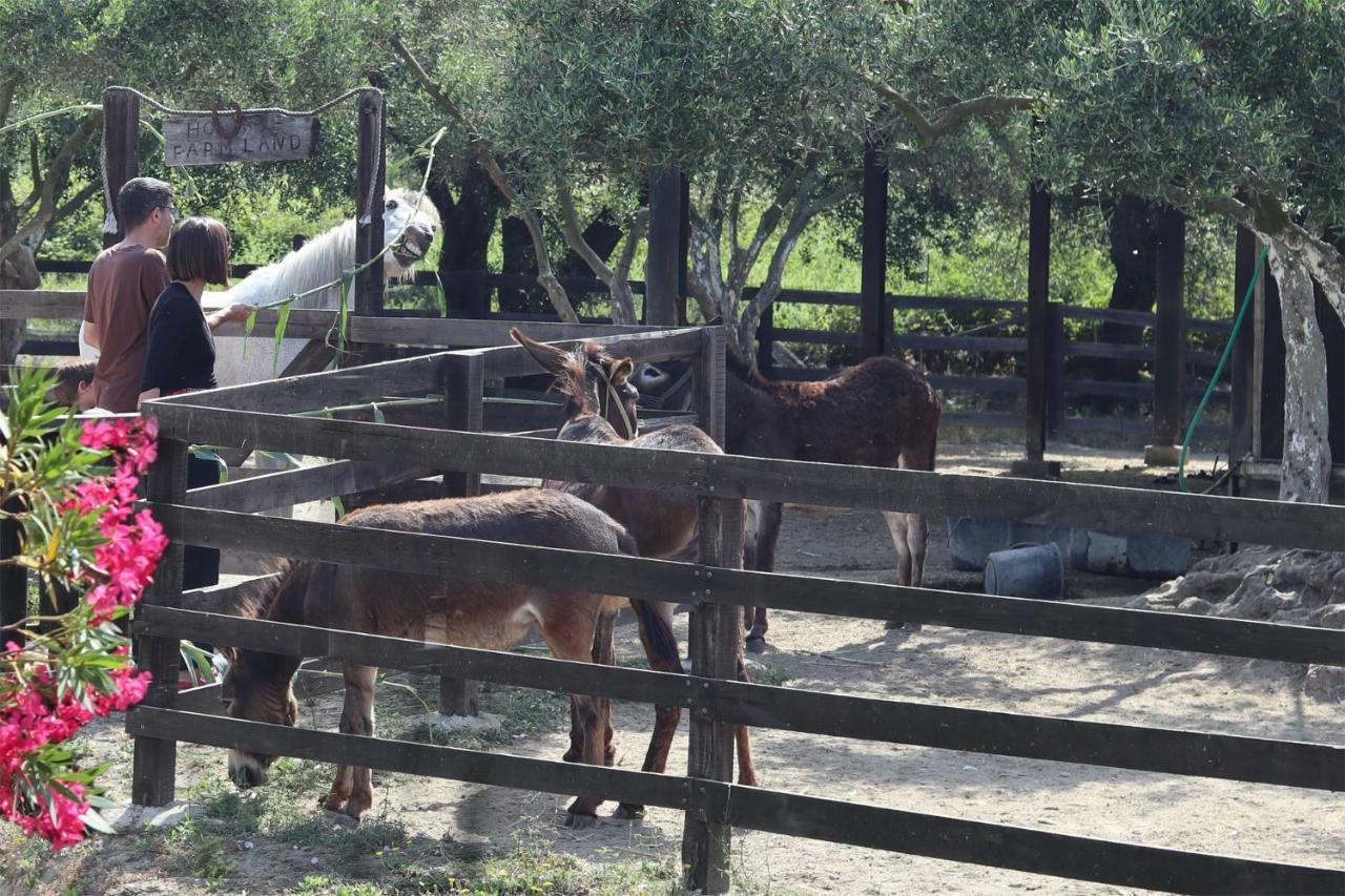 Honigtal Farmland Villa Agios Georgios Pagon Eksteriør bilde