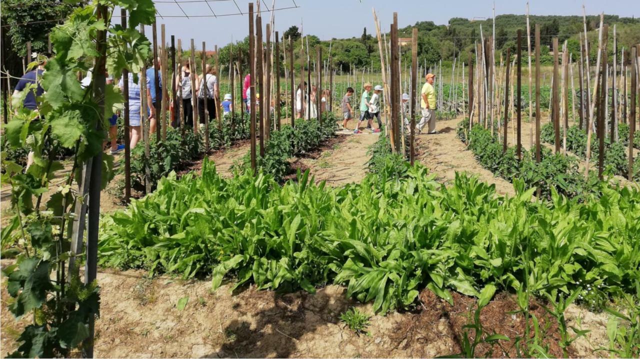 Honigtal Farmland Villa Agios Georgios Pagon Eksteriør bilde